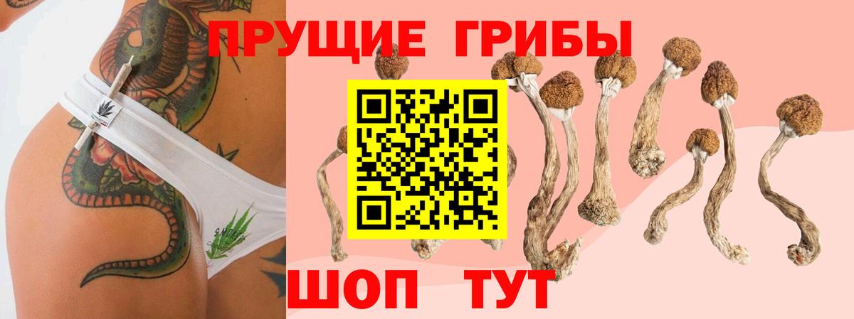 Псилоцибиновые грибы Magic Shrooms Волжск